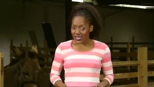 Boogie Beebies - Barnyard Boogie