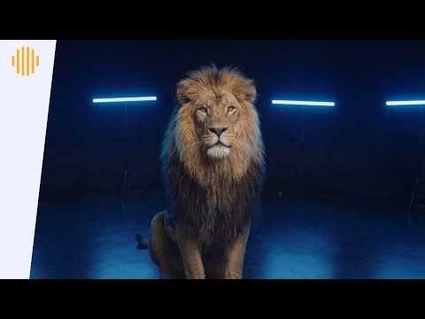 Bitsune, M’Go & Basskillah - Veteran (Offical Music Video) I Drum & Bass