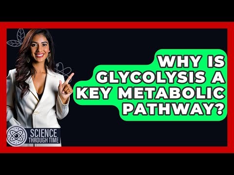 Why Is Glycolysis A Key Metabolic Pathway? - Science Through Time