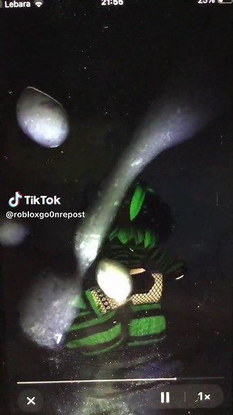 Exploring the Latest Roblox Tribes Release with Oshii