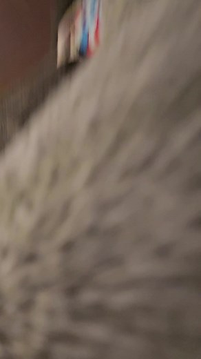 Midnight Cheesecake Prank on Salome