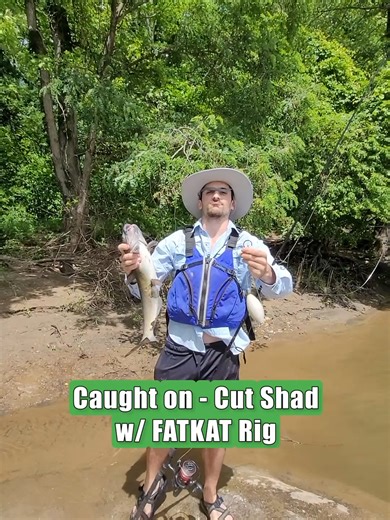 Here's an easy way to catch catfish. Grab a piece of cut bait, put it on FATKAT Rig. Cast out and catch a catfish. It truly is that simple. If you have any other questions comment below. we are all about helping out anglers catch more catfish. #fishing #catfishing #riverfishing #bluecat #flathead #floatfishing #TopCatch #FATKATrig