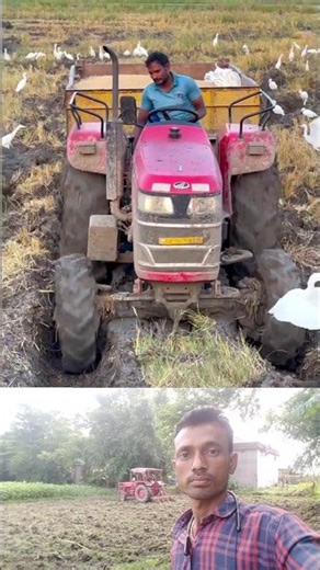 Mahindra 4wd tractor stuck in mud #shorts #trending #tractor