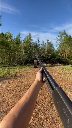 What 00 Buck Shot Pattern looks like on a Target at 25 Feet Mod Choke, 12ga #selfdefense #shorts