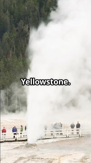 Yellowstone’s Unusual Animal Behavior - Should We Be Worried?