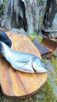 Caught & Cooked Instantly! 😍 Fresh River Fish Outdoor Cooking | Part 1 #foodvlog #cooking #food