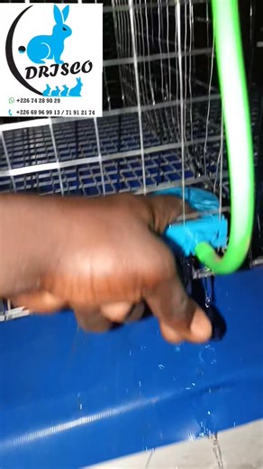 Apprécié la qualité, rien que la qualité,le meilleur cage de lapins.Tel: 74289029 ou 69 96 99 13 #lapinou #Des #lapin #cuniculture #cage #rabbit Élevage Moderne Aviculture Cuniculture au Burkina Faso Cuniculture Pro Au BF LAPIN DU FASO Elevage de lapins au Burkina faso | Drisco lapins