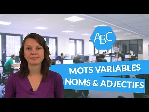 Cours de français [6ème] catégorie de mots variables: les noms et les adjectifs