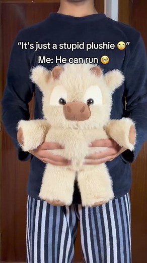 Runny is not a normal stuffed animal you shake it and start running to make you laugh 🧸