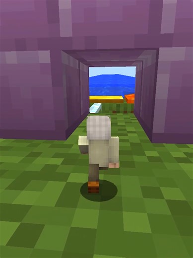 Minecraft Will I Fit?😨 #minecraft #challenge #minecraftmemes #fyp #fypシ