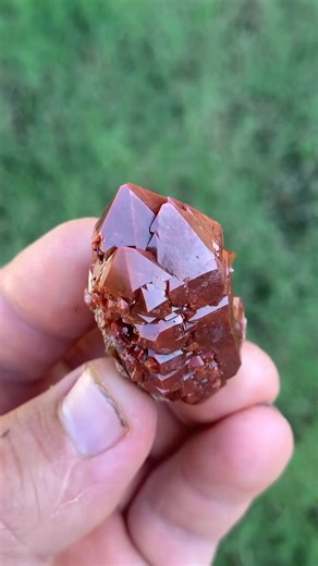 Finding a very rare specimen of red quartz not special only for its size (5,2 cms) but also for the colour and luster on the piece NFS Video 🎥 copyright ©️elrincondesal.bts #FineMinerals #CrystalCollectors #MineralSpecimen #RareCrystals #fineminerals #mineralspecimen #crystalcollection #mineralsforsale #crystalhealing #crystaladdict #crystalcollectors #gemsandminerals #minerals #crystals #usa #tucson #tucsongemshow #denvergemshow #denver #mineralscollector #mineralscollectors #geology #geologyr