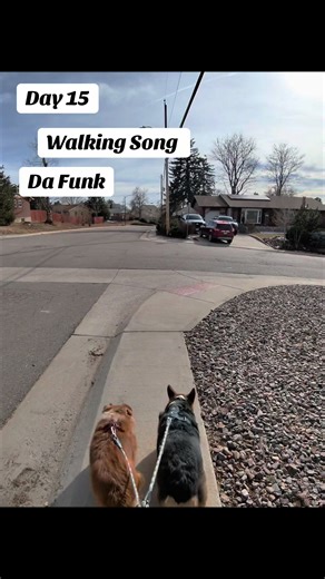 Day 14 (1.14.26) Walking song is “Da Funk” Daft Punk. Gotta get funky with the funk. #music #dog #walk #song #daftpunk @Borris Corgi