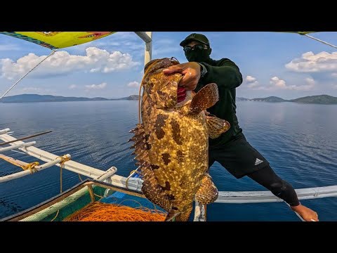 Exploring breathtaking ocean habitats