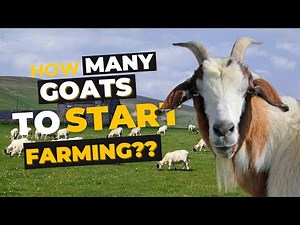 Goat Farming PROS Reveal the Minimum Number of Goats Needed