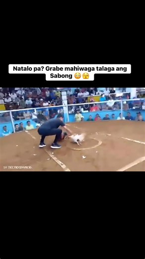 11K views · 291 reactions | WPC Pitmasters Live Highlights on Reels | Facebook