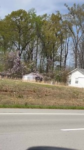 2.1M views · 16K reactions | I Drove Past This House And Had To Record It Because Of All Those Huge Birds!!! Why Would They Just Be lingering On & All Around That House??? Creepy Right??? So Of Course I Added Creepy Music 藍 | Angie Jackson-Master Stylist | Facebook