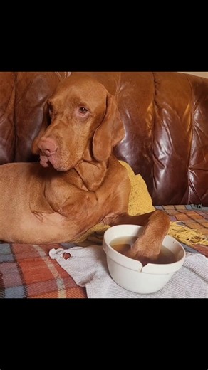 Kareen Higgins on Reels