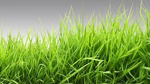 12K views · 105 reactions | It's the final regular season game of 2018. Don't miss the Last Word with Coach Ed Orgeron. | LSU Football | Facebook