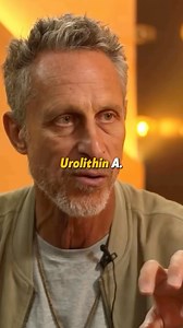 Pomegranate isn’t just a fruit… it’s a biological hackYour gut bacteria takes the polyphenols from pomegranate and turns them into Urolithin A — a compound so powerful it’s being studied for:⠀✅ Boosting mitochondrial health (your body’s energy engines)✅ Slowing down muscle aging✅ Supporting cellular renewal⠀But here’s the catch: Not everyone can produce Urolithin A.Why? Because your gut needs to be HEALTHY to do it.⠀So if you’re not seeing the benefits from “healthy eating”… maybe it’s time to f