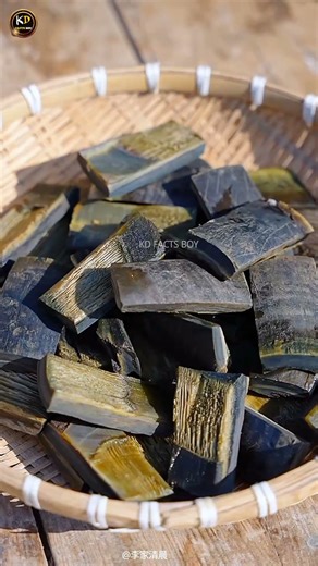 Amazing dominoes making process 😍