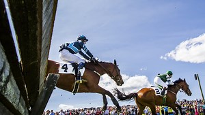 Gallop poll: Riders revel in Point-to-Point despite risks