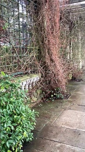 Hidden London: The Hill Garden and Pergola #london #nature #londonwalk
