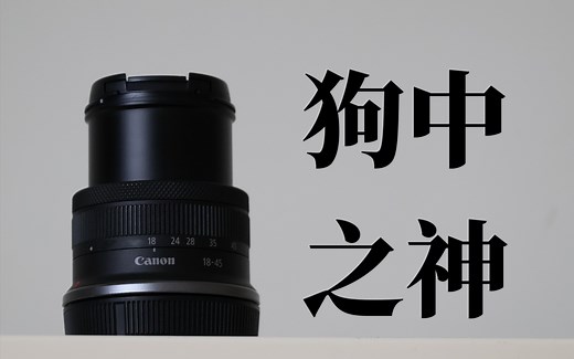 狗中之神？佳能18-45镜头测评