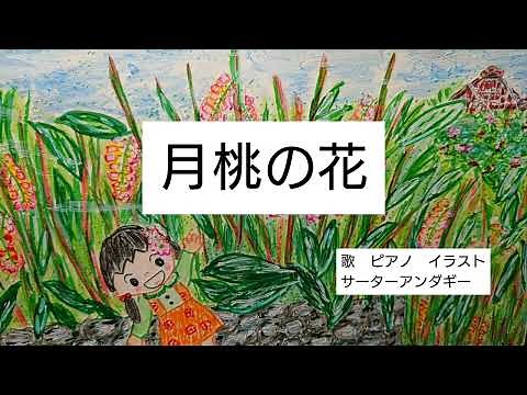 フル【月桃の花】沖縄の歌 作詞 作曲 海勢頭 豊
