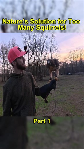 Nature's Effective Solution for Managing Squirrel Populations