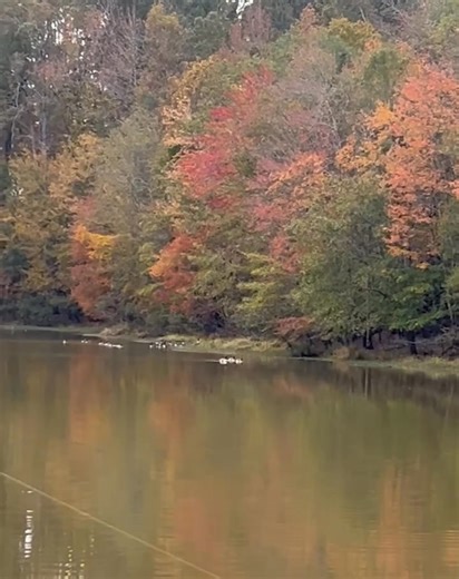 Libby Hudson on Reels