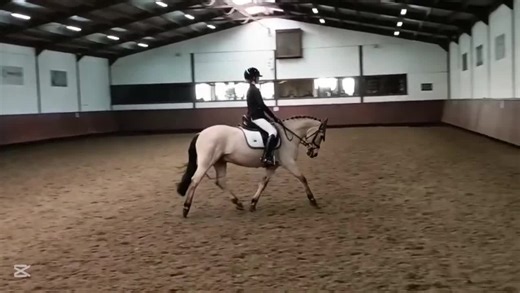 •🌟🥇Dressuur Rupchen🥇🌟• Cream deed het weer zooo goed dit weekend🫶🏻🥹 We deden weer eens dressuur in 1 jaar tijd!!😄 ZONDAG: B&L1 ☆Onze laatste keer B gereden en gewonnen met 3 winstpunten!🥇 ☆ Eerste keer L1 met gelijk 3 winstpunten en ook 🥇!! MAANDAG: 2x L1 ☆Proef 1 gewonnen met 2 winstpunten!!🥇 ☆Proef 2 gewonnen met 2 winstpunten!! 🥇 4 wins🤭🤩 Nu al 7 in het L1!! Zoo trots op mijn toppony🥹🫶🏻🐴💞 Nu wil ik nog een laatste keer L1 rijden en dan kunnen we waarschijnlijk door naar het