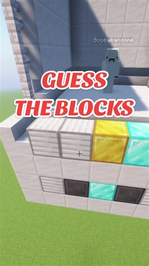 Minecraft Guess the Block Challenge!