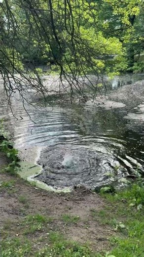 Natural water spring #naturelovers #nature #water #wasserquelle #wow #water #lake #sea #germany