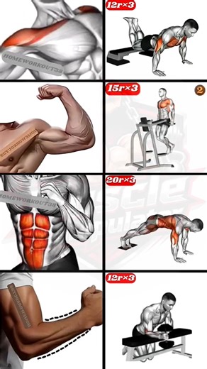 New Full Body Home Workout Routine #shorts #fitness #motivation