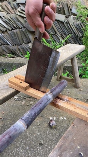 Effortless Sugar Cane Cutting Technique