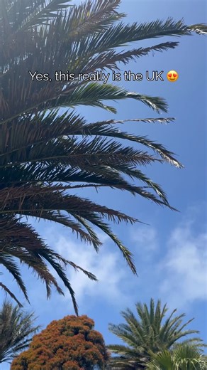 Can you believe this is the UK? 🌴 Take a wander through the last few months in Tresco Abbey Garden with us - a little piece of exotic paradise right here in the Isles of Scilly #TrescoAbbeyGarden # IslesOfScilly #Tresco #TropicalVibes #HiddenParadise #WanderlustUK | Tresco Island