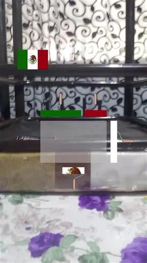 Videos de Cristopher Torices (@cristopher.torice) con “sonido original - 👤”