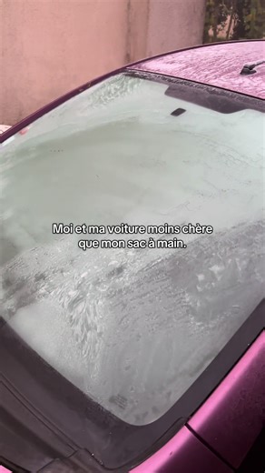 Priorités pour 2026 : choisir voiture ou sac à main