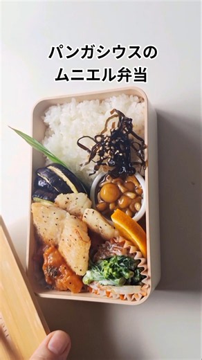 ムニエル弁当 #お弁当作り #お弁当の詰め方 #白身魚 #ムニエル #お弁当 #ショート動画 #本編切抜