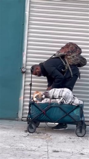 As Mayor, I will stand up a dedicated LAPD task force, Tactical PAWS: Policing Animal Welfare & Safety. We will end the horrific atrocities that Karen Basura and Nithya Raman have allowed on our streets. ZERO tolerance for animal abusers!