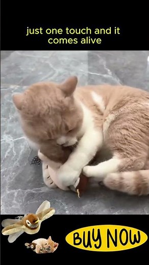 Interactive Chirping Bird Cat Toy