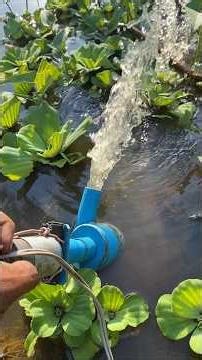 Testing mini water pump #diy #homemade