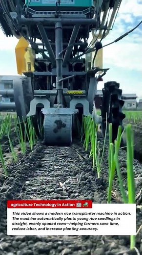 Amazing Rice Transplanter Machine – How This Farming Tech Works