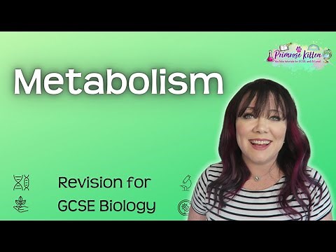 Metabolism | Revision for Biology GCSE