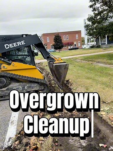 Overgrowth so bad you couldn’t see the curb. How would you have tackled this job? | Fast Lawn Solutions