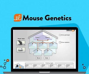 Tomorrow is National Siblings Day! Learn about genes in our Mouse Genetics #ELGizmo! Breed "pure" mice with known genotypes that exhibit specific fur colors, and learn how traits are passed on via dominant and recessive genes. https://bit.ly/3zHE7Ng | ExploreLearning Gizmos