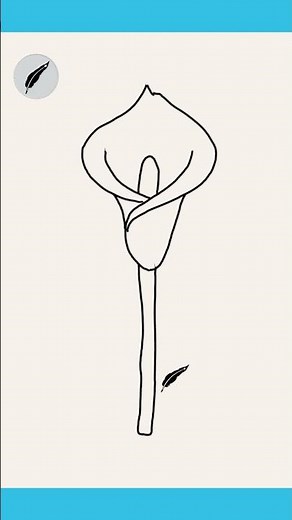 How to Draw an Easy Lily Flower Minimal & Simple Drawing Tutorial for Beginners #lidoartworks