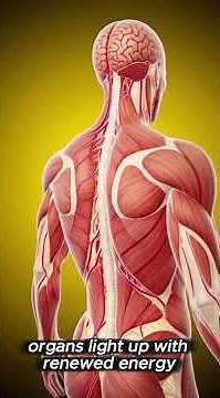 Dried Cranberries Benefits | Brain Heart Gut Energy & Immunity Boost Explained