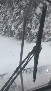 2.9K views · 136 reactions | What I love the most of grooming. Breaking trail, trail prep. Today was fun but tired, it was a long day cutting brush and fallen trees. All worth it. #snocat #snow #breakingtrail | The Groomer Guy | Facebook