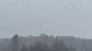 Download Time-lapse of Snowy and foggy view for free